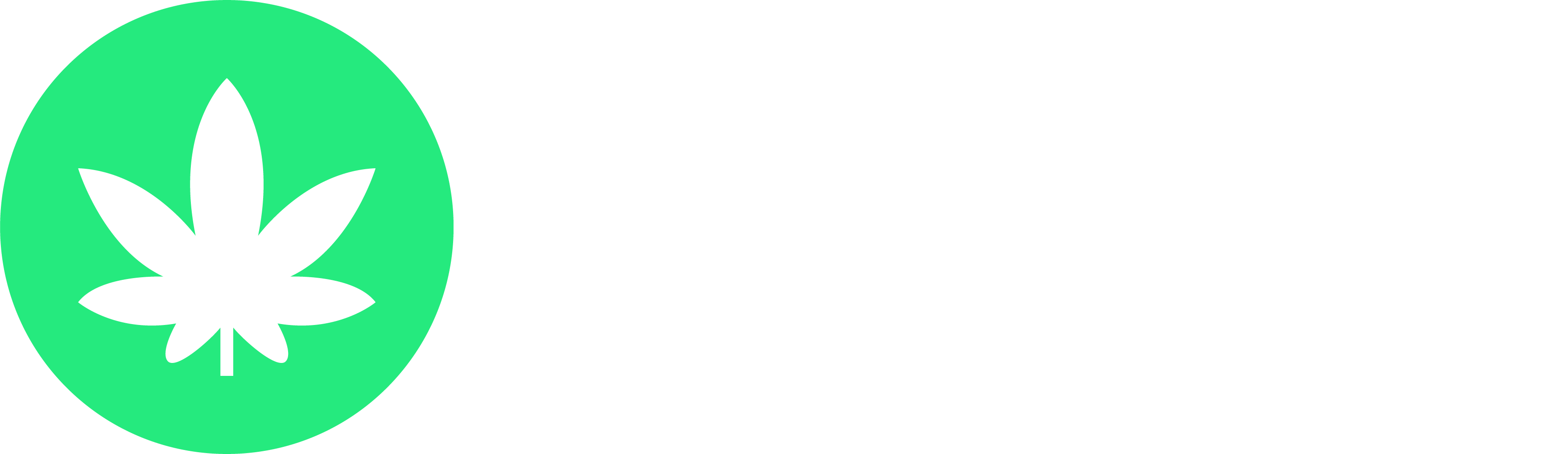 stonertree-logo-white.png